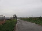 Třibřichy