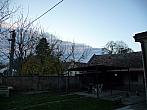 Třibřichy