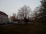 Borovina