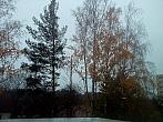 Borovina