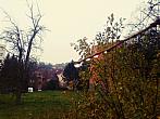 Borovina