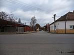 Třibřichy