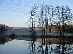 Borovina