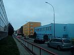Borovina