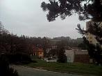 Borovina