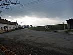 Třibřichy