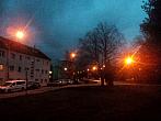 Borovina