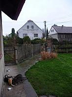 Třibřichy