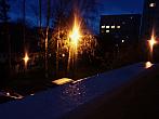 Borovina