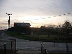 Třibřichy