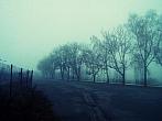Borovina