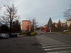 Borovina