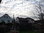 Třibřichy