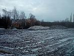 Borovina