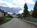 Třibřichy