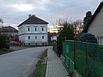 Třibřichy