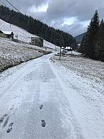 Albrechtice