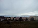 Borovina