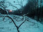 Borovina