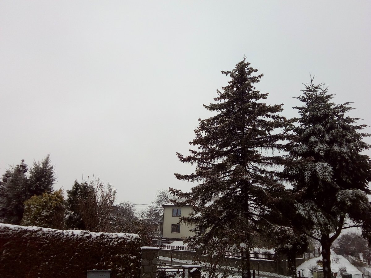 Velká Bíteš