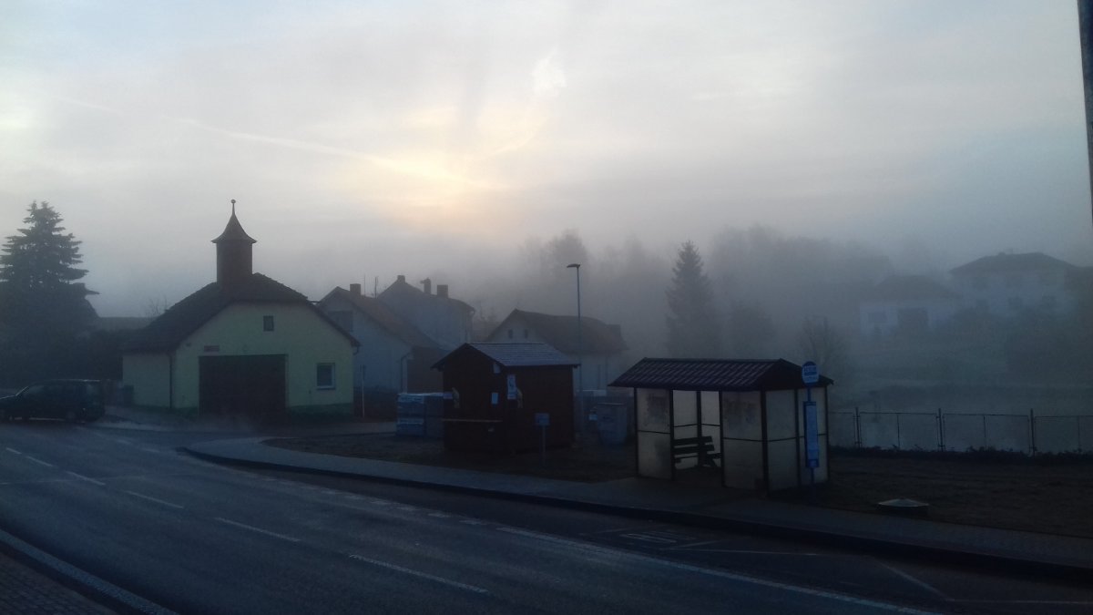 Olešná
