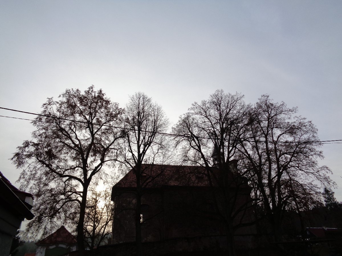 Ostrovec