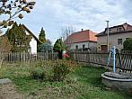 Třibřichy
