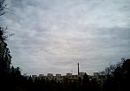 Borovina