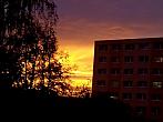 Borovina
