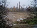 Borovina