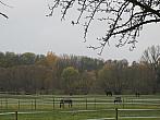 Neratovice