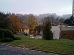 Borovina