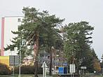 Neratovice