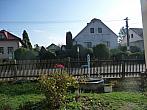 Třibřichy