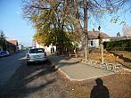 Třibřichy