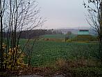 Borovina