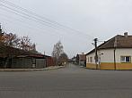 Třibřichy