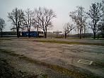 Borovina