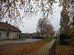 Třibřichy