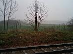 Borovina