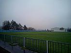 Borovina