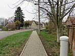 Třibřichy