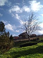 Skalité