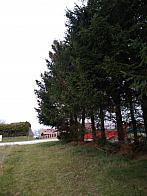 Pacov