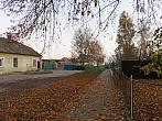Třibřichy