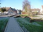 Třibřichy