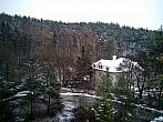 Borovina