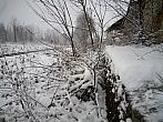 Borovina