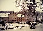 Borovina