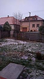Třibřichy